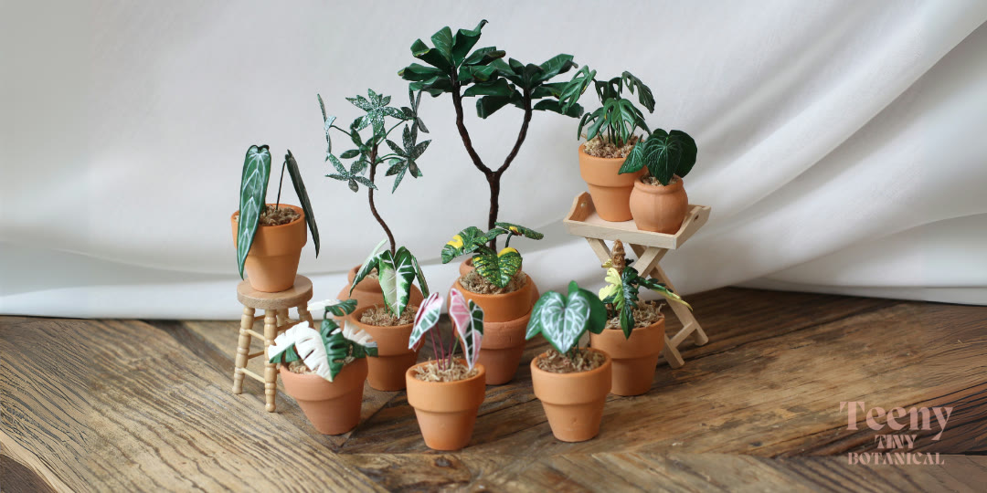 A group of Nadirah's miniature clay plants in terracotta pots on tiny wooden stools and a tray.