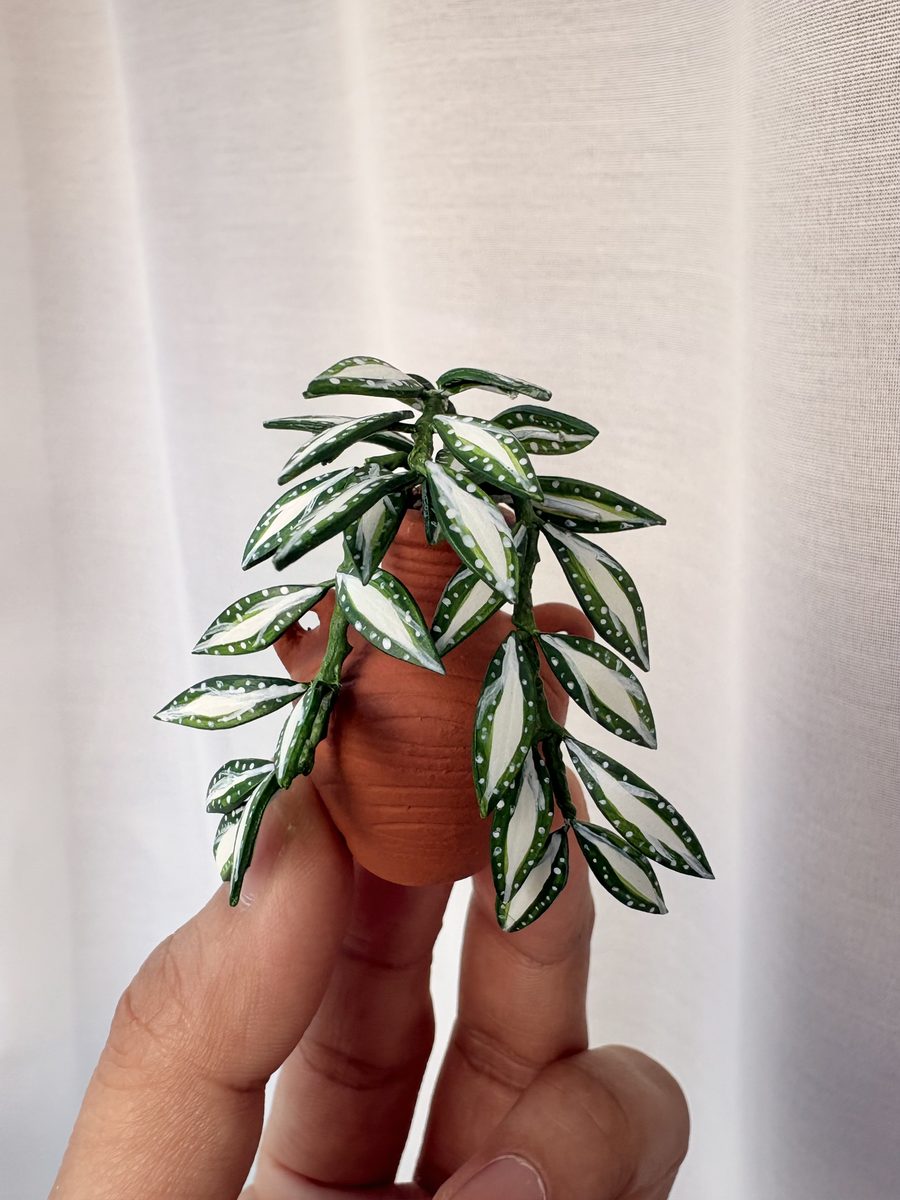 A tiny clay Milky Way plant with cream-speckled leaves, held between two fingers.